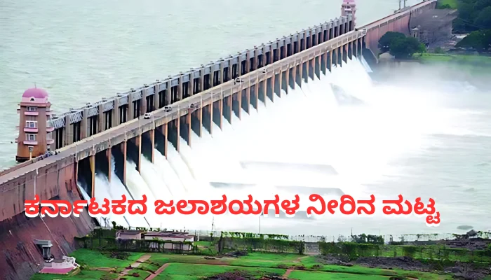 Karnataka Dam Water Level